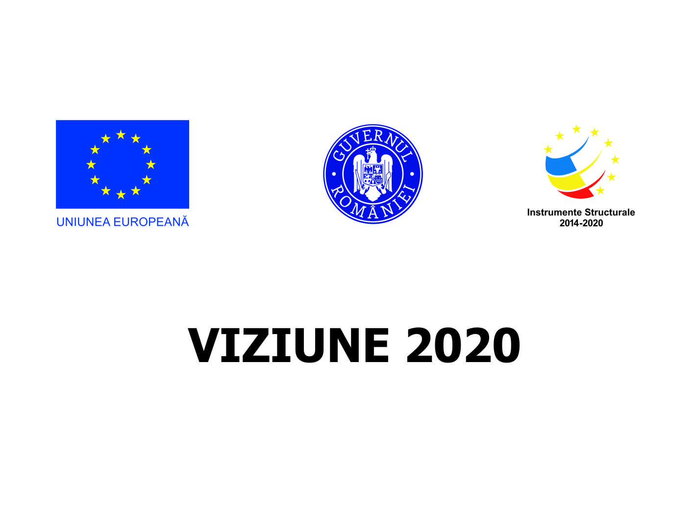 Proiect Viziune 2020
